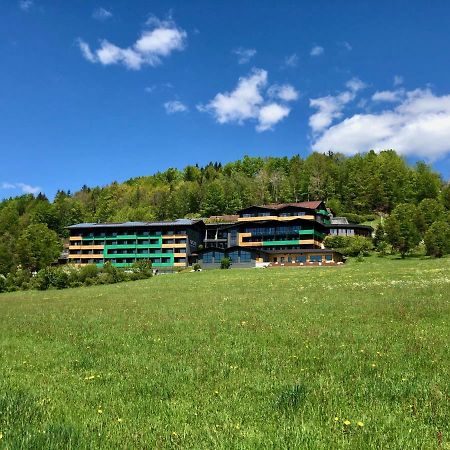 Natura Hotel Bodenmais - Inkl Soft- Und Heissgetraenkeflat Kültér fotó