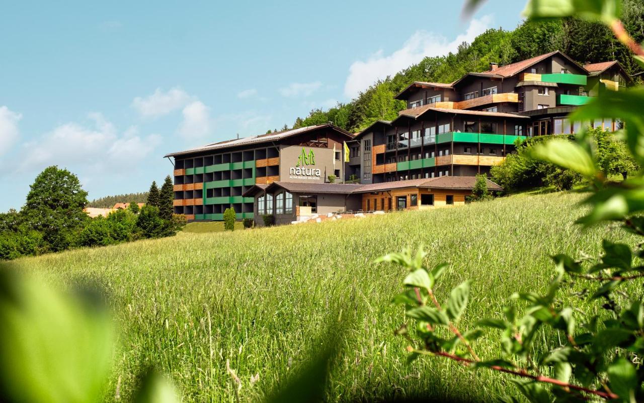 Natura Hotel Bodenmais - Inkl Soft- Und Heissgetraenkeflat Kültér fotó