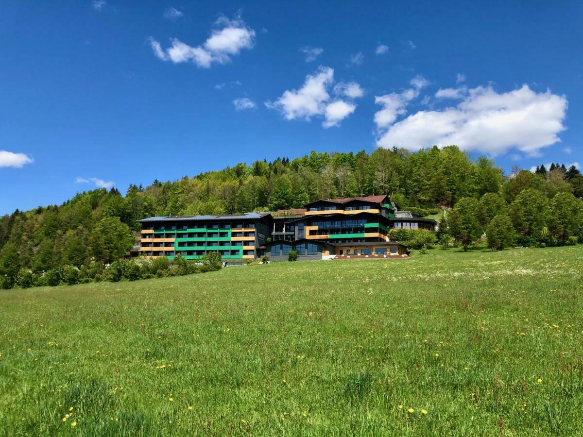 Natura Hotel Bodenmais - Inkl Soft- Und Heissgetraenkeflat Kültér fotó